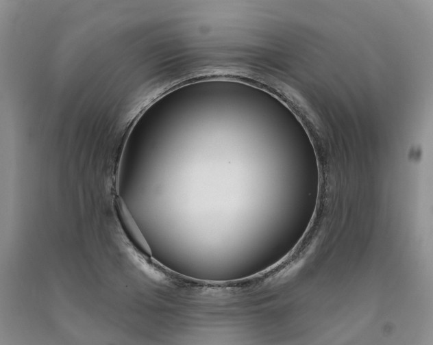 X0000091990985200709201444