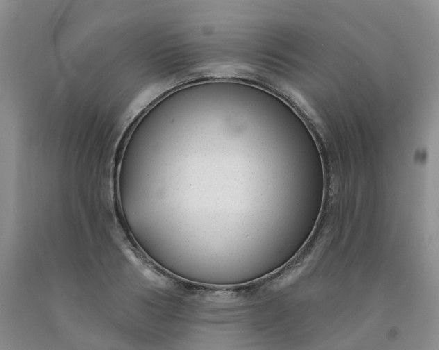 X0000091990986200709201444