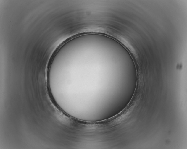 X0000091990988200709201444