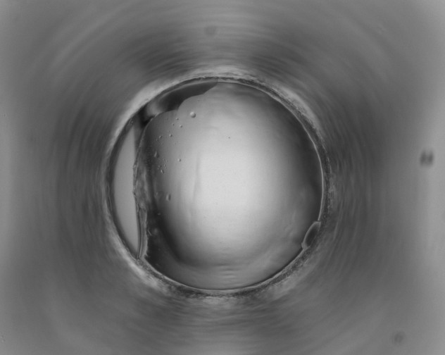 X0000091990989200709201444