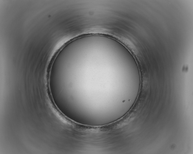 X0000091990990200709201444