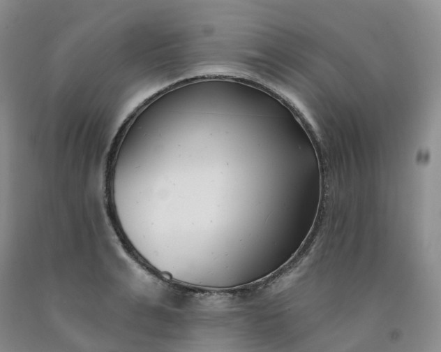 X0000091990991200709201444