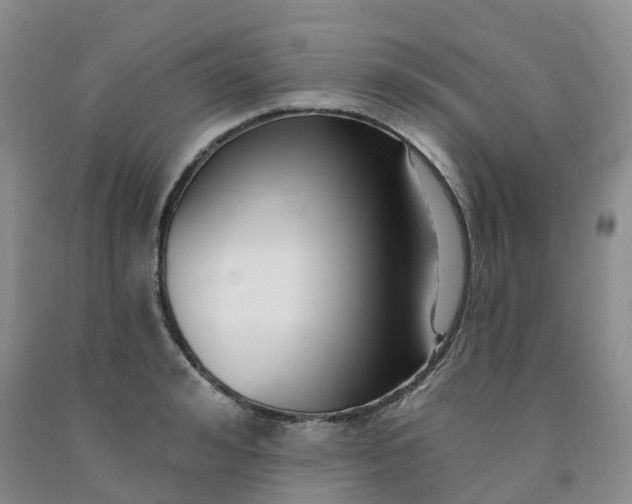 X0000091990992200709201444