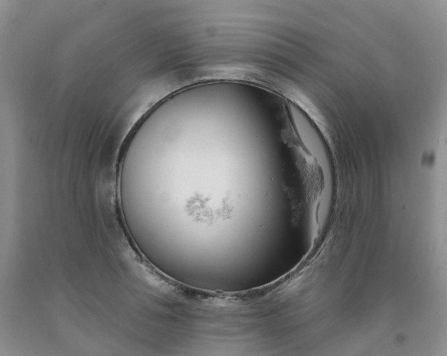 X0000091990994200709201444