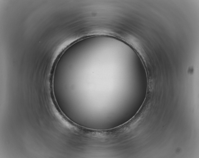X0000091990995200709201444
