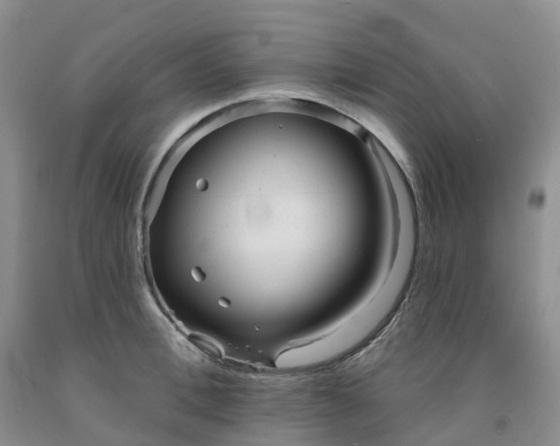 X0000091990996200709201444