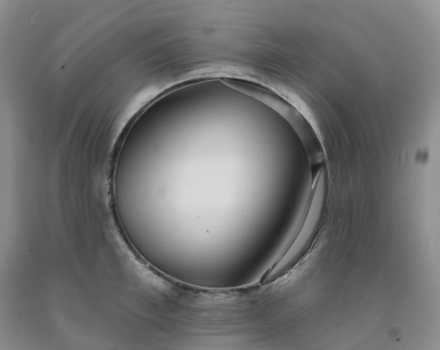 X0000091990997200709201444
