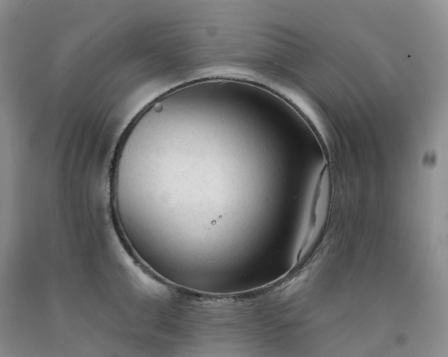 X0000091990999200709201444