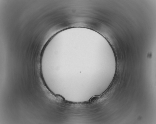 X0000091991000200709201444