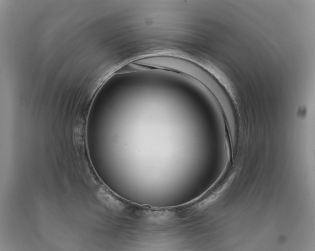 X0000091991001200709201444
