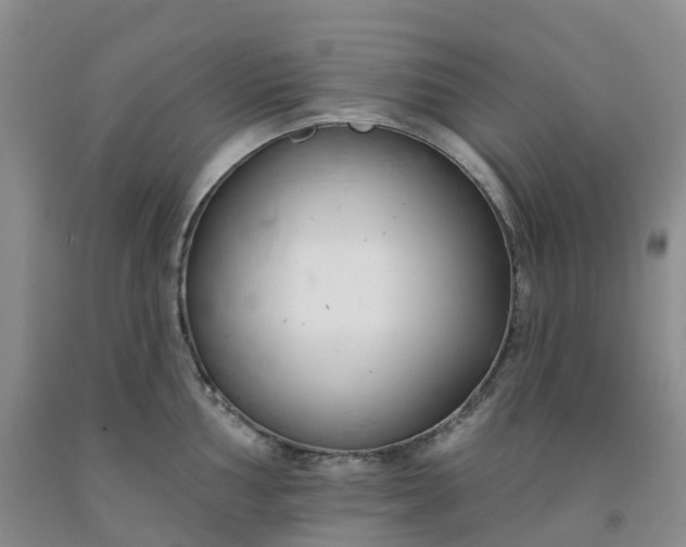 X0000091991002200709201444