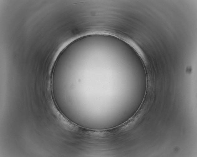 X0000091991004200709201444