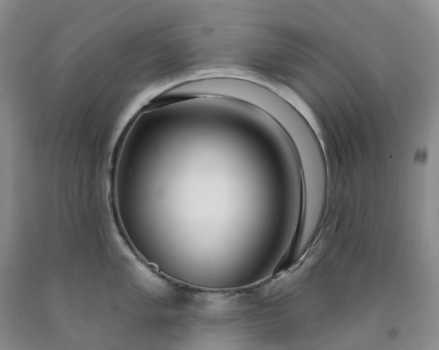 X0000091991005200709201444
