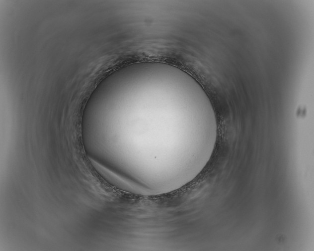 X0000091991009200709201443