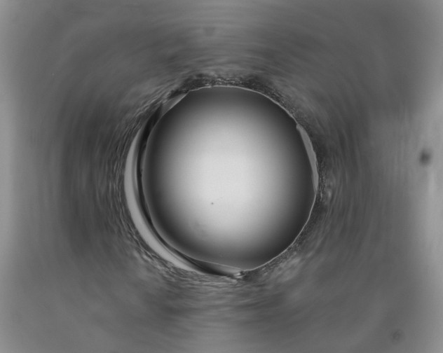 X0000091991010200709201443