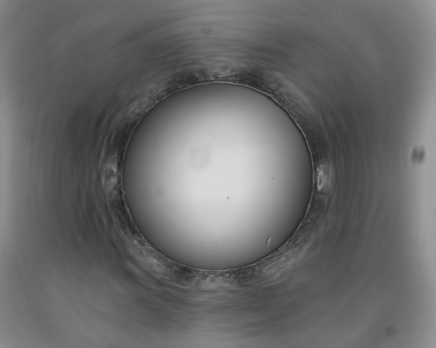 X0000091991011200709201443
