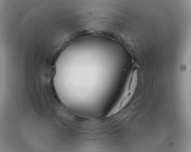X0000091991012200709201443