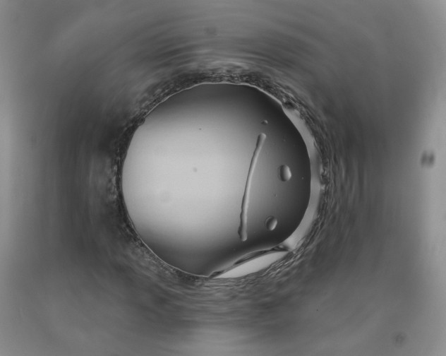 X0000091991013200709201443