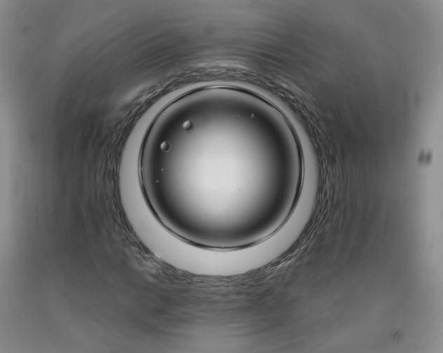 X0000091991014200709201443
