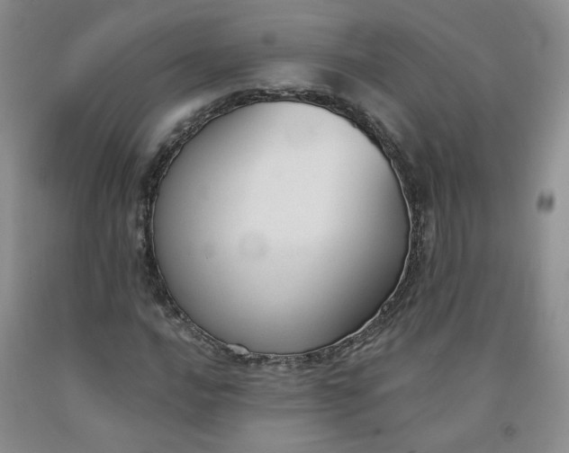 X0000091991016200709201443