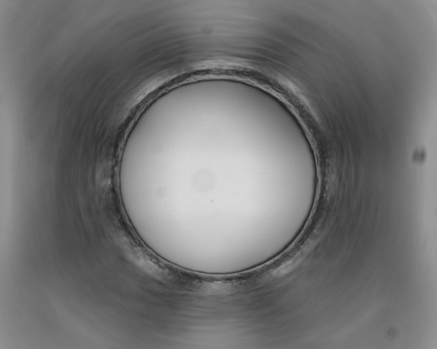 X0000091991017200709201443