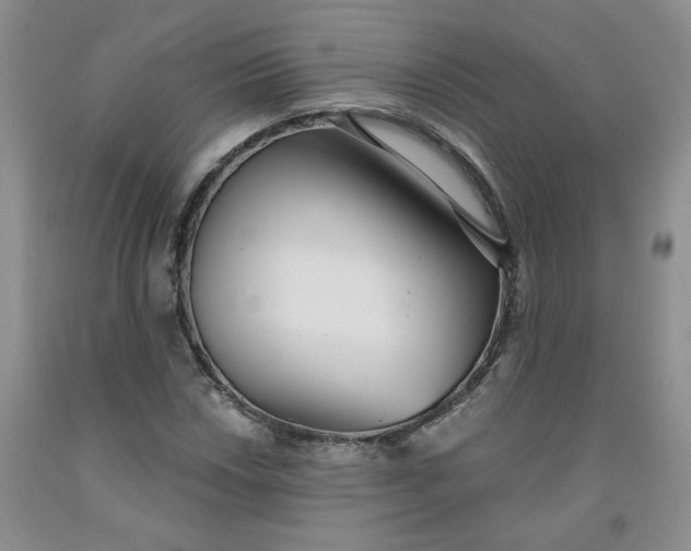 X0000091991018200709201443