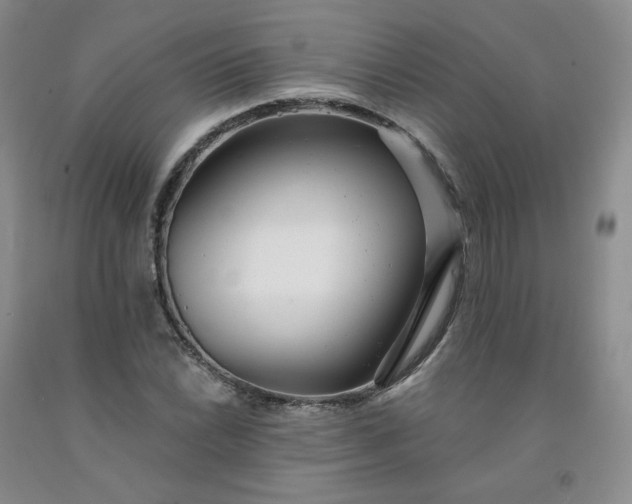 X0000091991022200709201443