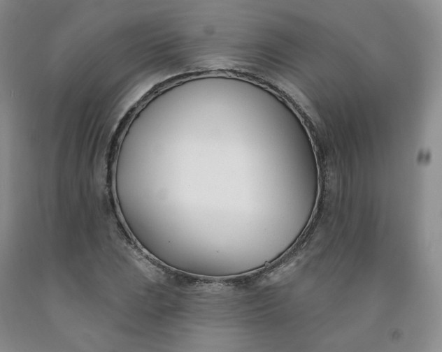 X0000091991023200709201443