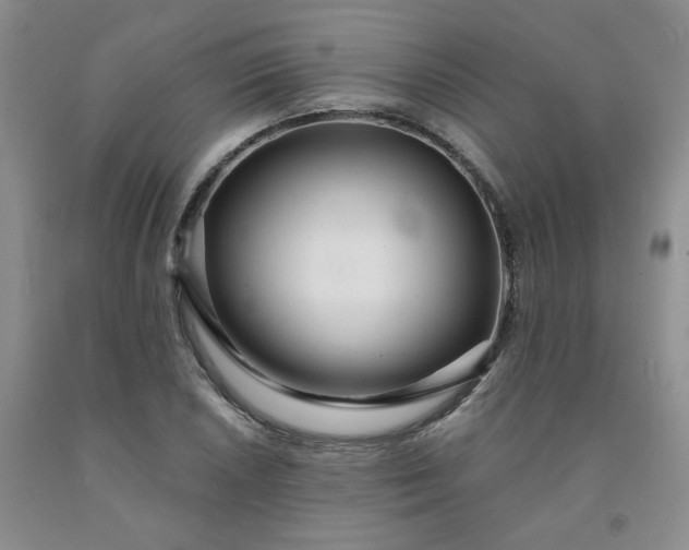 X0000091991026200709201443