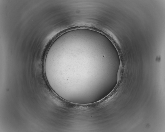X0000091991027200709201443