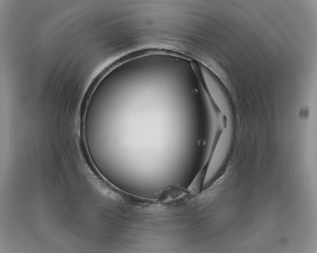 X0000091991028200709201443