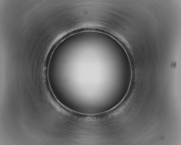 X0000091991029200709201443