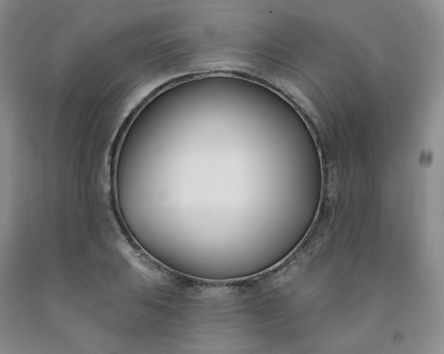 X0000091991031200709201443