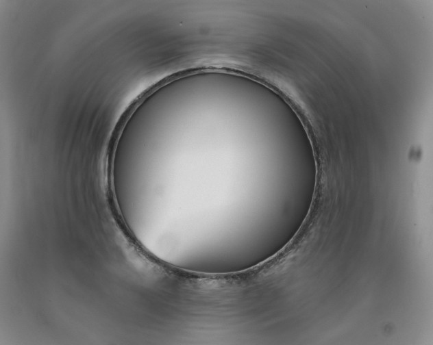 X0000091991032200709201443