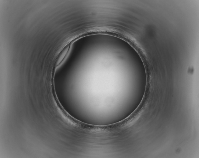 X0000091991033200709201443