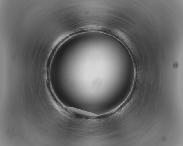 X0000091991034200709201443