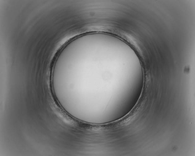 X0000091991035200709201443