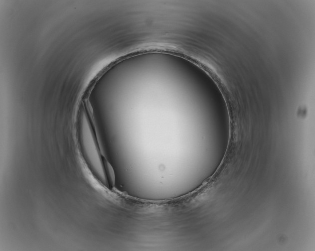 X0000091991038200709201443