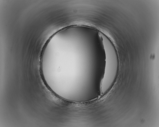 X0000091991040200709201443