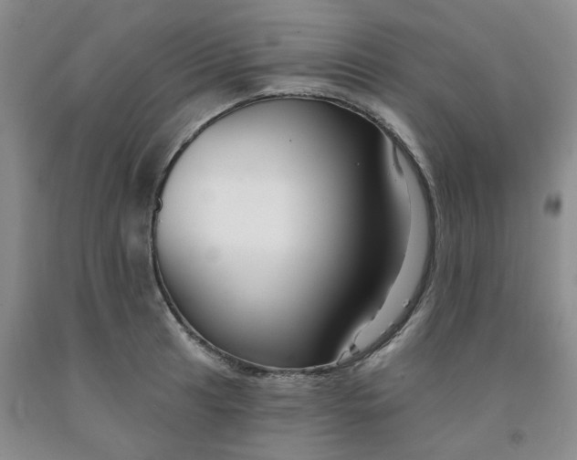 X0000091991041200709201443