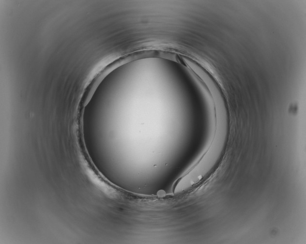 X0000091991042200709201443