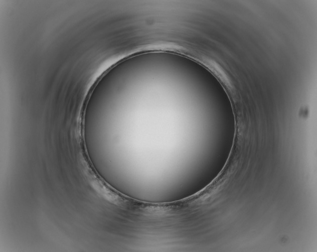 X0000091991044200709201443
