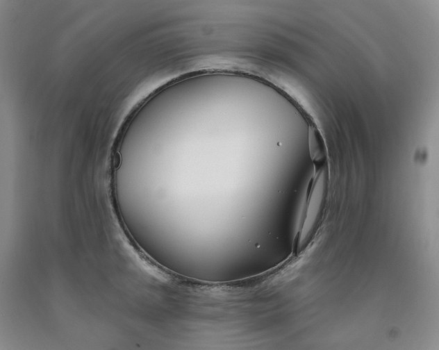 X0000091991045200709201443