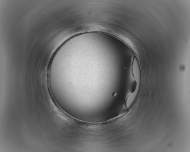 X0000091991047200709201443