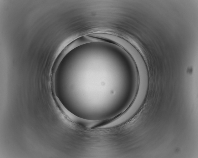 X0000091991050200709201443