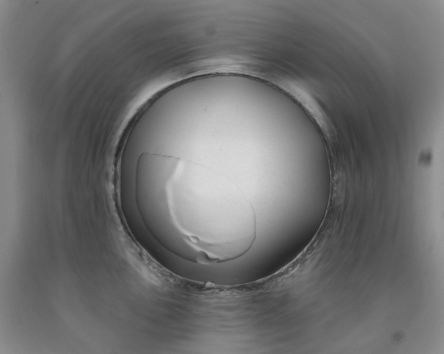 X0000091991051200709201443
