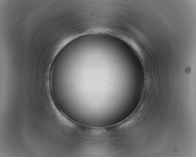X0000091991055200709201443