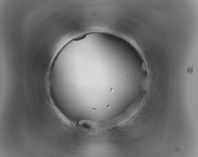 X0000091991056200709201443