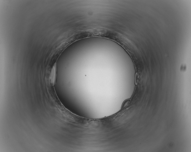X0000091991058200709201443