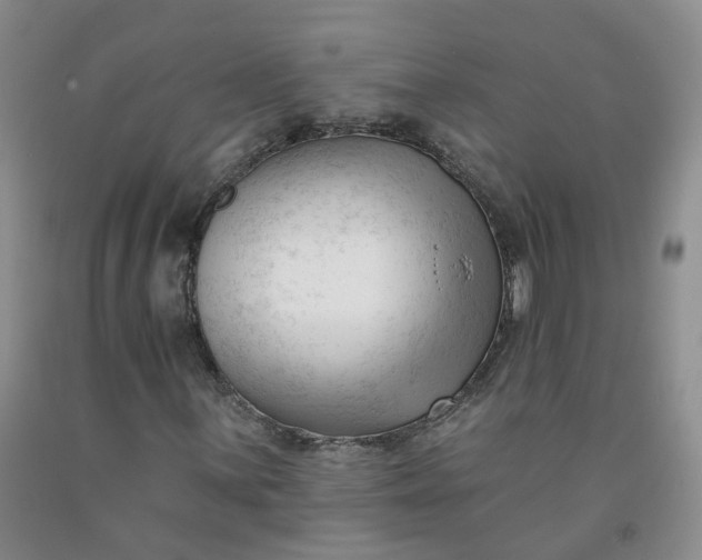 X0000091991059200709201443